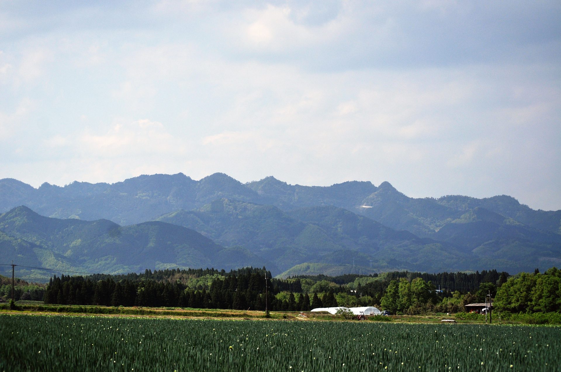 大分の山と畑