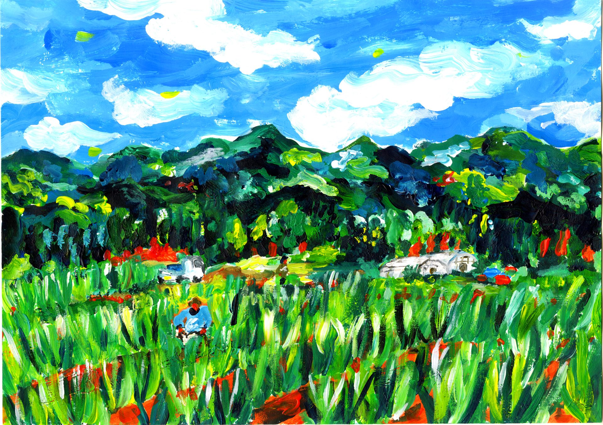 大分のネギ畑の絵